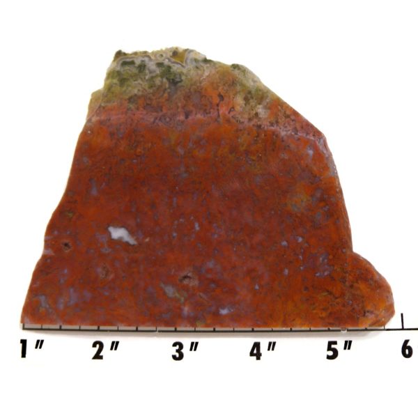 Slab1718-Cinco de Mayo Agate