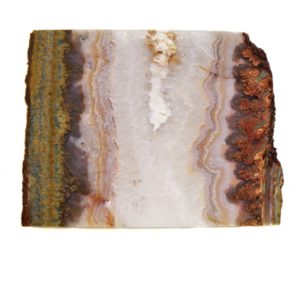 Prudent Man Plume Agate Slabs from Idaho