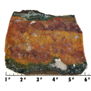 Maury Mountain Moss Agate Slabs | Copper Canyon Lapidary & Jewelry