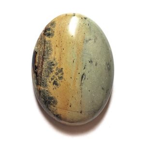 Cab1526 - Paint Brush Jasper Cabochon