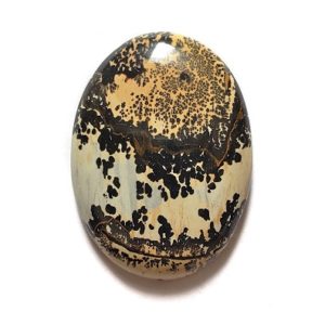 Cab2406 - Paint Brush Jasper Cabochon