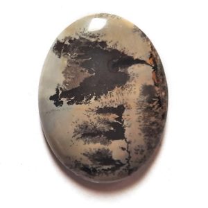 Cab1682 - Paint Brush Jasper Cabochon