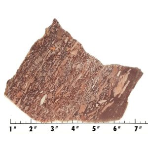 Slab2022 - Montana Bark Jasper slab