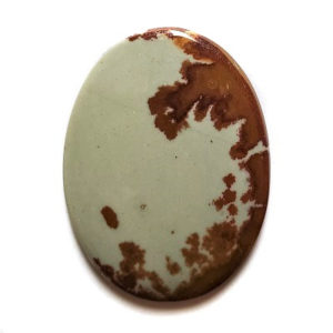 Cab2285 - Owyhee Jasper cabochon