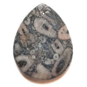 Pendant538 - Fossil Crinoid Marble Pendant