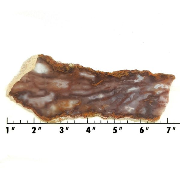 Slab1726 - Gila Stick Agate Slab