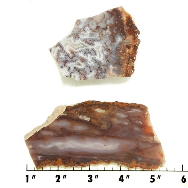 Slab1754 - Gila Stick Agate Slabs