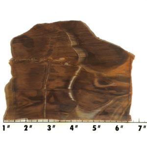 Slab1449 - Opalized Wood Slab