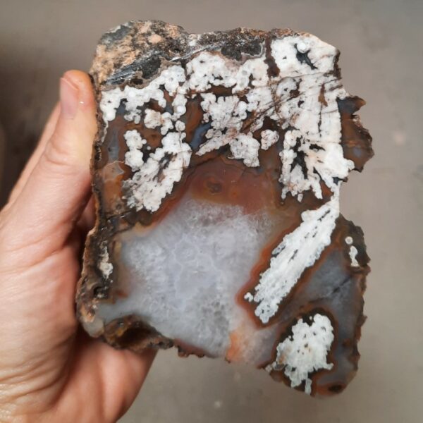 Big Diggins Agate Rough #3