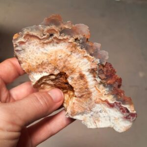 Agate Rough #3 from Oregon