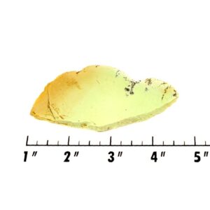 Slab1574 - Lemon Chrysoprase