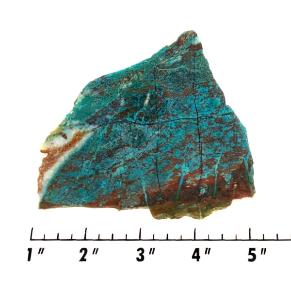 Slab970 - Parrot Wing Chrysocolla