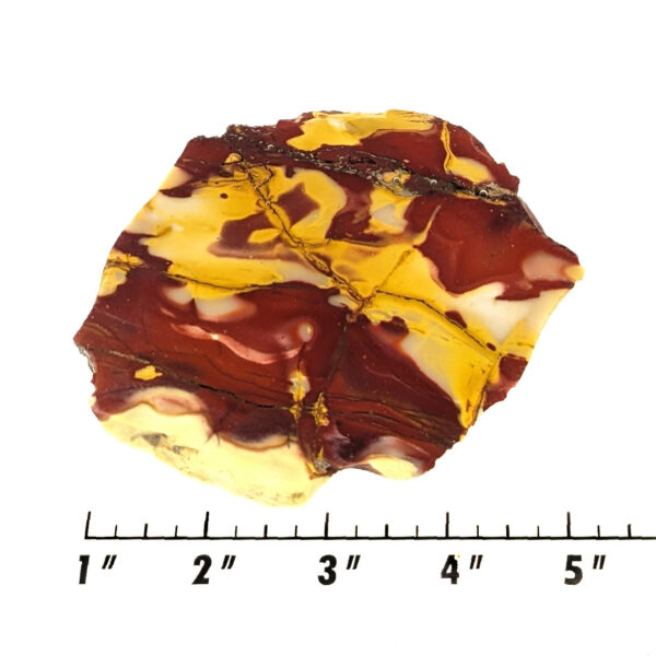 Slab2266 - Mookaite