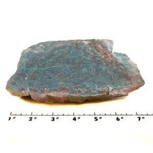 Parrot Wing Chrysocolla Rough #1