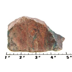 Parrot Wing Chrysocolla Rough #5