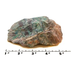 Parrot Wing Chrysocolla Rough #4