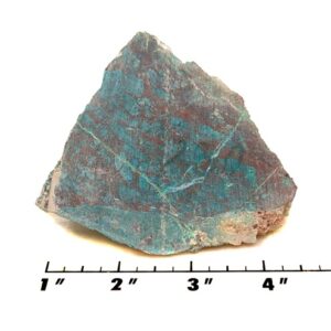 Parrot Wing Chrysocolla Rough #7