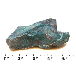 arrot Wing Chrysocolla Rough #9