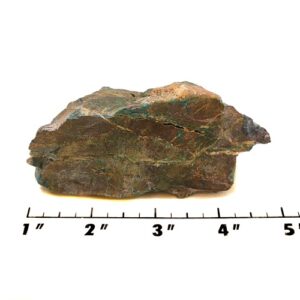 Parrot Wing Chrysocolla Rough #10