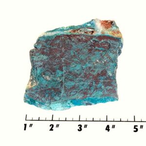 Slab1280 - Parrot Wing Chrysocolla