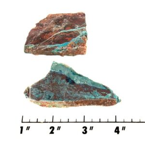 Slab1324 - Parrot Wing Chrysocolla