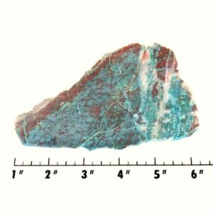 Slab1288 - Parrot Wing Chrysocolla