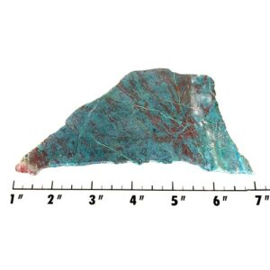 Slab1293 - Parrot Wing Chrysocolla