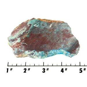 Slab1302 - Parrot Wing Chrysocolla