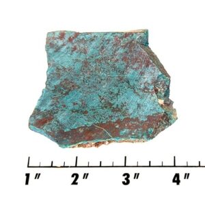 Slab1308 - Parrot Wing Chrysocolla