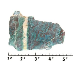 Slab1309 - Parrot Wing Chrysocolla