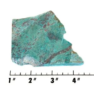 Slab1310 - Parrot Wing Chrysocolla