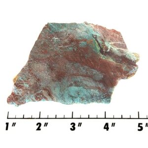 Slab1314 - Parrot Wing Chrysocolla