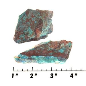 Slab1318 - Parrot Wing Chrysocolla