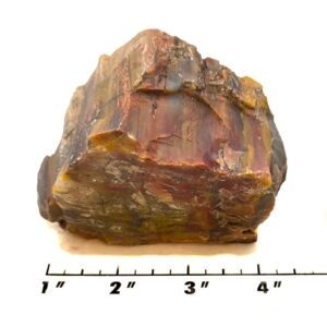 Petrified Wood Rough #2