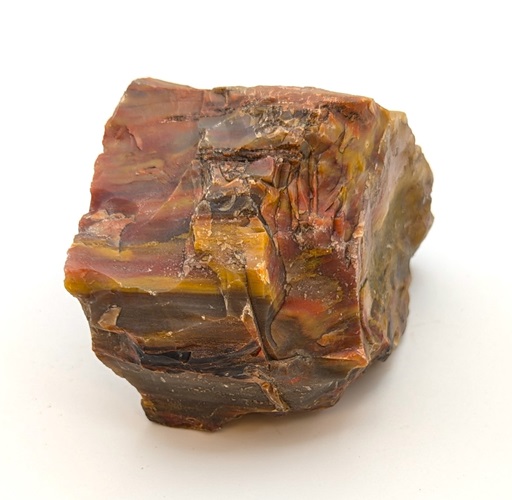 Petrified Wood Rough #2