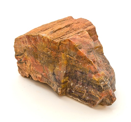 Petrified Wood Rough #10