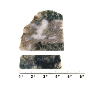 Slab1467 - Green Moss Agate