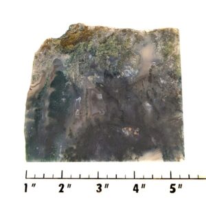 Slab1505 - Green Moss Agate