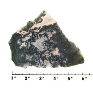 Slab1508 - Green Moss Agate