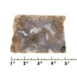 Slab1471 - Green Moss Agate