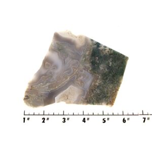 Slab1477 - Green Moss Agate