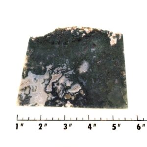 Slab1481 - Green Moss Agate