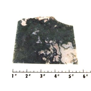 Slab1484 - Green Moss Agate