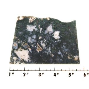 Slab149 - Green Moss Agate