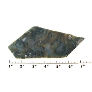 Slab1494 - Green Moss Agate