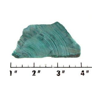 Slab1564 - Malachite