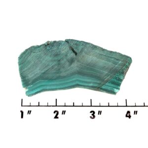 Slab1567 - Malachite