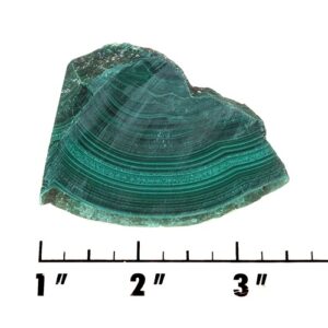 Slab1572 - Malachite