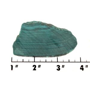 Slab1516 - Malachite