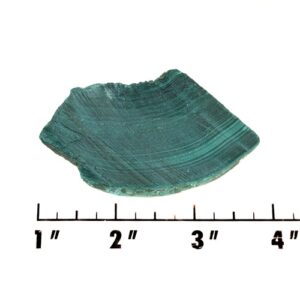 Slab1526 - Malachite